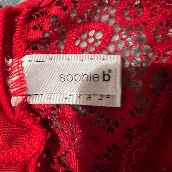 Sophie B. Scarlet Lace Bodysuit - Picture 9 of 10